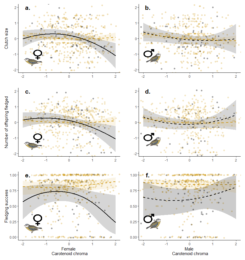 Blue tit carotenoid colour results